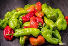 中国辣椒排行榜排名 中国十大最辣辣椒排名
