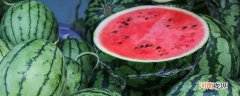 麒麟瓜和普通西瓜区别