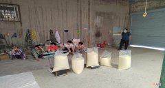 官网买奶粉会不会是假的 网购奶粉63%都是假货