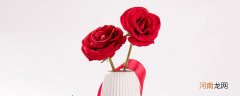 玫瑰花多少度保存