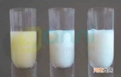 为什么初乳这么重要 新生儿到底应不应该喝初乳