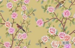 2023年霸气姓徐的男孩名字 气度不凡的男孩起名