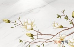 2023年1月2日出生是什么命 寓意好运成功的黄姓女宝宝起名