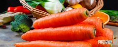 胡萝卜是萝卜家族吗