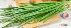 韭菜长大了是什么