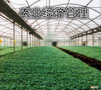 农业经济管理主要学什么 农业经济管理是什么专业