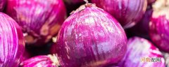黄洋葱和紫洋葱的区别