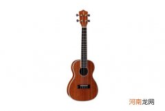 最容易学的乐器排名 十大最简单的自学乐器