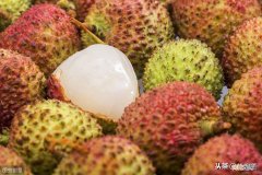 妃子笑荔枝名字由来 荔枝为什么叫妃子笑