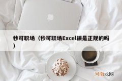秒可职场Excel课是正规的吗 秒可职场