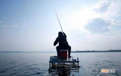 十大名贵淡水鱼排名 10大名贵淡水鱼