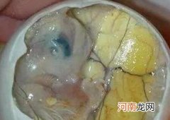 十大恐怖小吃 世界上最恐怖的零食