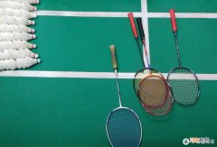 羽毛球拍性价比高的牌子 什么牌子的羽毛球拍质量好耐打