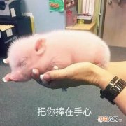 人死后去阴间的全过程有哪些 人死后去阴间的全过程