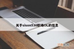 关于sison530职场OL的信息