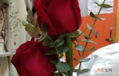 结婚周年送什么花合适 结婚纪念日送什么花