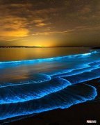 海里的蓝眼泪是怎么形成的 蓝眼泪是怎么形成的