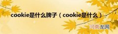 cookie是什么 cookie是什么牌子