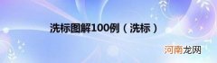 洗标 洗标图解100例