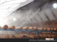 青海喷雾加湿厂家地址 青海喷雾加湿厂家