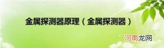 金属探测器 金属探测器原理