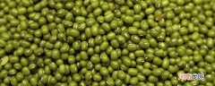 绿豆是谷类吗