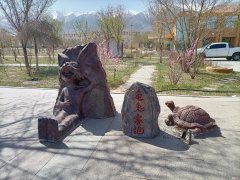 龟兔赛跑的故事告诉我们什么道理 龟兔赛跑的道理