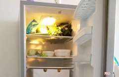 冰箱温度调到多少度合适 冰箱的温度怎么调才正确