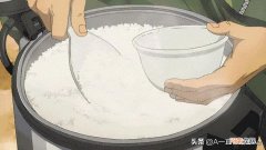 蒸米饭多少米加多少水 米饭和水的比例