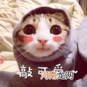 适合大学生的网上兼职 大学生兼职可以做什么线上