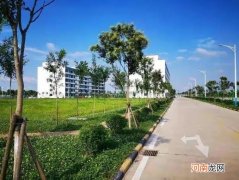 比亚迪厂上班多少钱 比亚迪的员工真实工资多少钱一个月