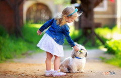 人类和动物的关系是什么 人类和动物之间的关系有几种