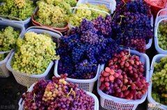 黑加仑就是黑葡萄吗 黑加仑和葡萄的区别