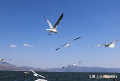 最适合养老最宜居的城市 最适合穷人养老的城市有哪些