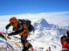 珠穆朗玛峰哪几种动物  珠穆朗玛峰上有动物吗