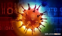 最危险的电脑病毒世界排名 电脑病毒排名