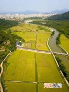 基本农田是怎么划分的 基本农田和一般农田的区别