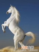 白龙马原来是什么的三太子 白龙马是哪个龙王的三太子