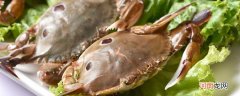 梭子蟹清蒸多少分钟 梭子蟹需要清蒸多少分钟