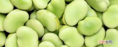 嫩蚕豆如何保存 如何长期保存新鲜蚕豆