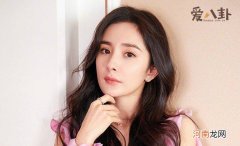 杨幂的421事件到底是什么 杨幂的421事件