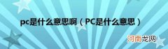 PC是什么意思 pc是什么意思啊