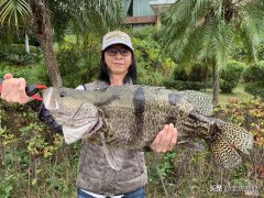 钓鳜鱼用什么饵料最好钓 钓鳜鱼用什么饵好