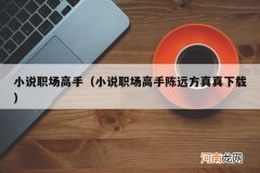 小说职场高手陈远方真真下载 小说职场高手