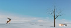 大雪过后为什么会觉得格外寂静 大雪过后为什么很寂静