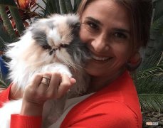 世界上最贵的猫是什么品种 世界上最贵的猫