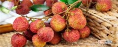 荔枝需要泡盐水吗 荔枝为什么要用盐水泡