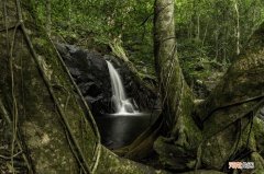 护林员工作是否值得去 护林员工资多少钱一个月