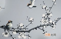 4两三钱男命最正确的解释 一生顺利有旺家运