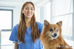 狗狗怎么定点大小便 如何让狗狗去固定的地方大小便